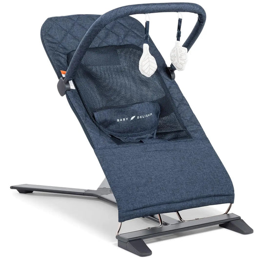 Portable Infant Bouncer With 3 Recline Positions And Carry Bag