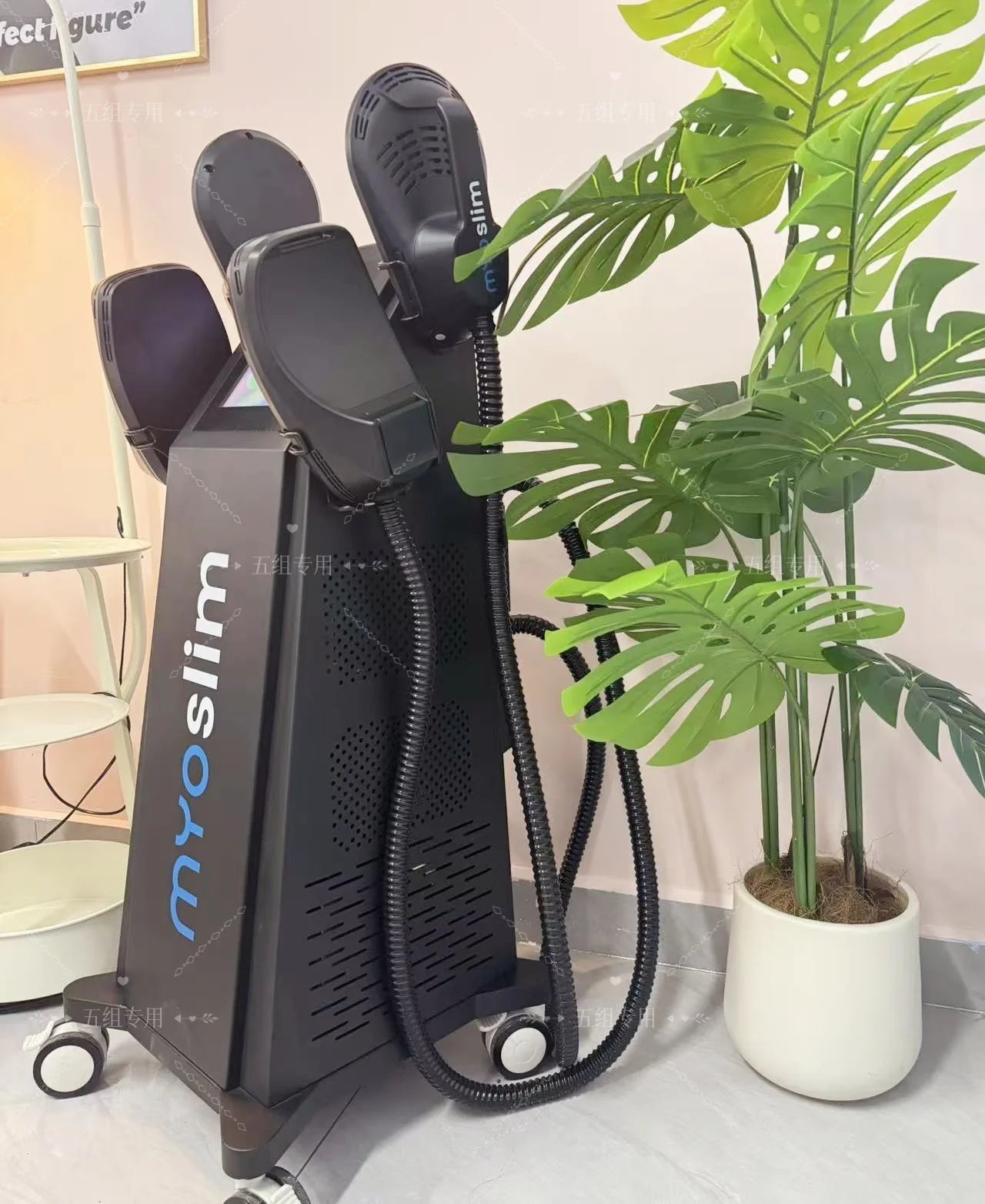 MYOSLIM EMS Body Sculpt Machine 6500W RF Fat Burning Therapy